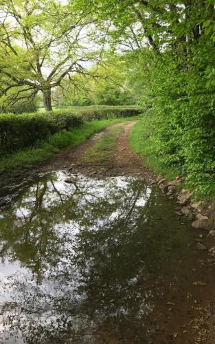 Veel nattigheid onderweg