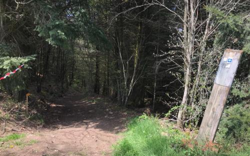 Ben je net boven, moet je het bos weer in en steil omlaag