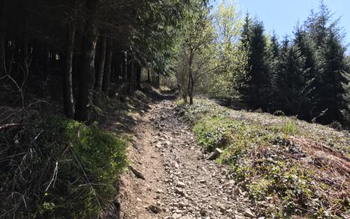 Onderweg naar de hoogste top van de Beaujolais (net boven de 1.000 meter)