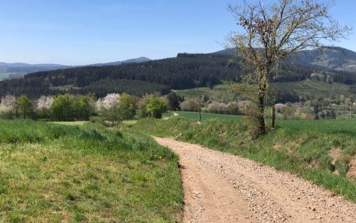 Daar moet ik heen via het pad in de verte naar de hoogste berg in de omgeving