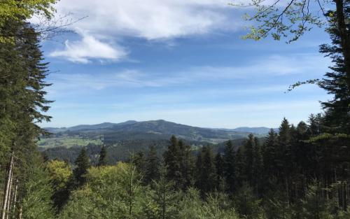 En weer steekt de Mont Saint-Rinaud (de middelste) er net bovenuit