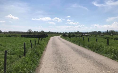 En met de Loire laat ik de bergen weer even achter me en ben ik terug op het platte land